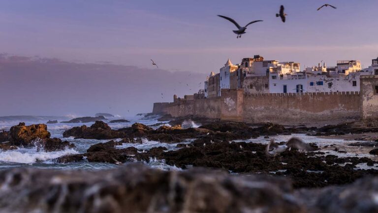Les remparts de la médina d'Essaouira au coucher du soleil au-dessus de l'océan Atlantique, avec des mouettes et des vagues sur les rochers