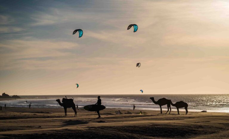 Kitesurfeurs et chameaux sur la grande plage d'Essaouira au coucher du soleil, un surfeur portant sa planche, face aux vagues de l'Atlantique