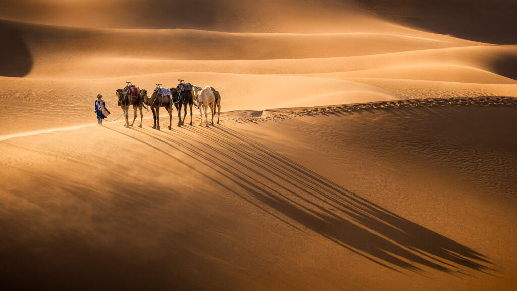 How to Plan a Sahara Desert Tour in Morocco (2026)