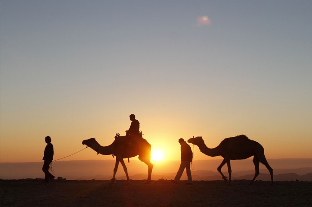 Méharée au coucher du soleil sur les dunes de l'Erg Chebbi à Merzouga, silhouettes de chameaux et guides