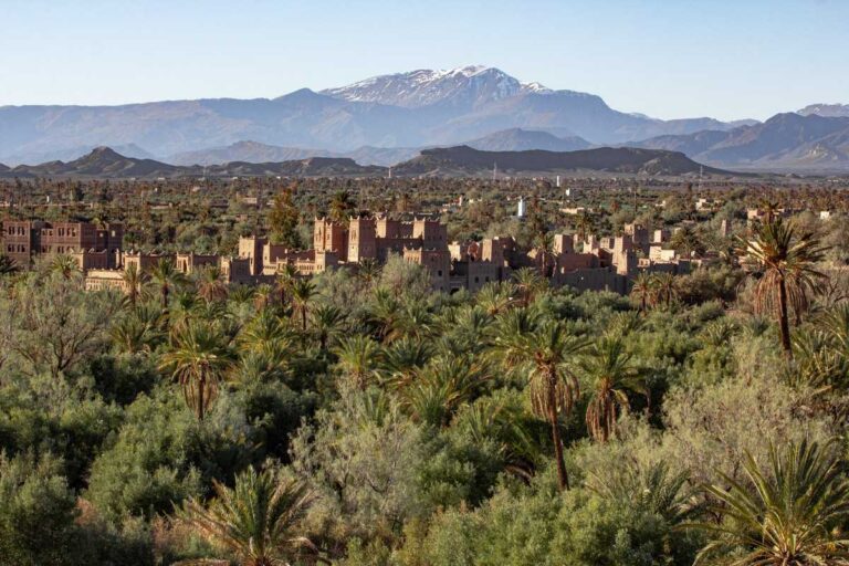 Vue panoramique de l'oasis de Skoura : palmeraie de dattiers, kasbahs en pisé et sommets enneigés du Haut Atlas en arrière-plan