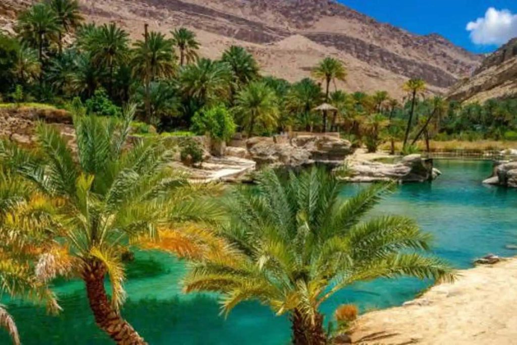 Private 2-Day Marrakech to Ouarzazate & Fint Oasis Tour