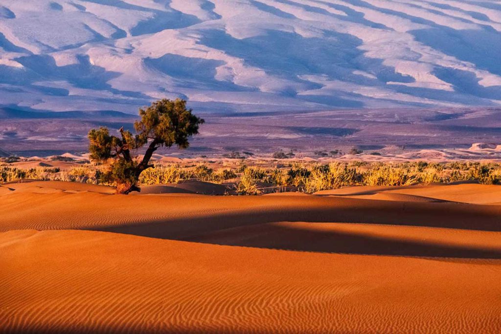 3-Day Erg Chigaga Desert Tour from Marrakech