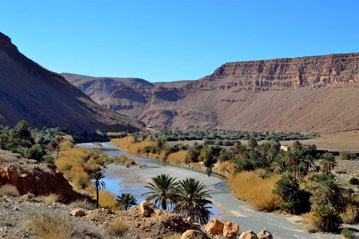 The palm-lined Ziz Valley, seen only on the one-way route north to Fes.